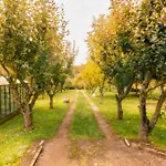 Prázdninový dům Im Harz